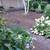 Prep work for paver patio 3 thumbnail
