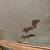 1936 BENJAMIN CRYSTEEL Porcelain Enamel TABLE TOP w/Black Trim 4 thumbnail