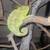 JACKSON CHAMELEON 1 thumbnail