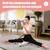 Unlock Your Flexibility! Pink 180° Leg Split Stretcher For Ballet, Dance, Yoga  1 thumbnail