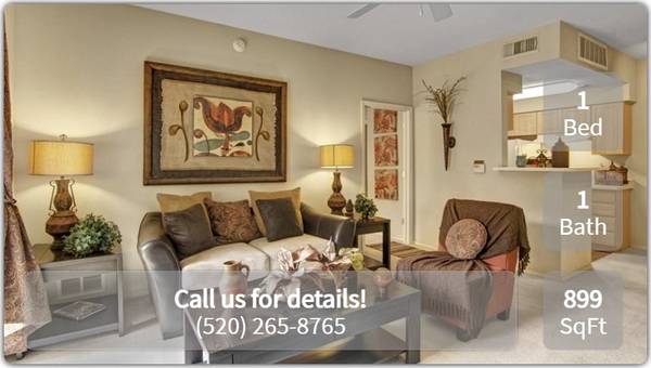 $1,155 / 1 hab. - 899 pies² - Vistas increíbles, amplio de 1 dormitorio / 1 baño, excelentes comodidades, 899 pies cuadrados (Tucson - Este cerca del Centro Médico de Tucson)63674894398593121