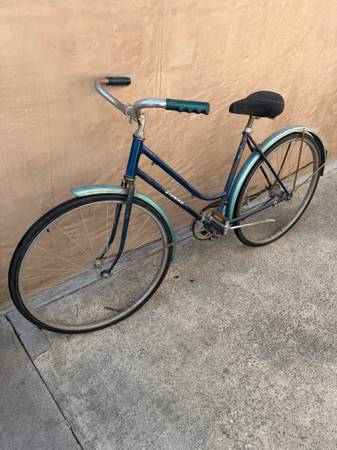 Schwinn bike 1
