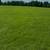 Hay Fertilized Coastal Premium Horse Hay Square Bales 3 thumbnail