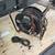 High End Broadcast Cable Beldon 1263B with Reel 1 thumbnail