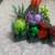 Lego Botanical Gardens Succulents 2 thumbnail