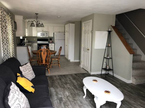 $1700.00 / 2br - 980ft2 - Clean Winter Rental63656212198529120