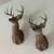 Deer shoulder mount (2) 3 thumbnail