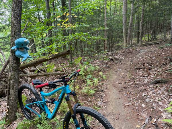 2020 Ibis Ripmo V2 - medium 1