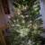 CHRISTMAS TREE Artificial, Green, 5-6ft, In Bag. 1 thumbnail