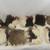 (12) Rabbit Skin Pouches and 7 Burgundy and (1)Green Dyed Rabbit Hides 4 thumbnail