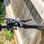 Juniper Summit Folding e-bike for 5’8 and up 9 thumbnail