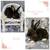 Mini Rex Rabbits 5 thumbnail