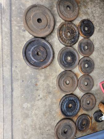 weights iron plates 65 pounds 1