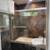 Amazing 2BD/1BA (1255 1/2 Hyperion Ave, Silver Lake, CA 90029) 14 thumbnail