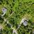 South Anchorage hillside lot off of Goldenview 1.1 acres 1 thumbnail