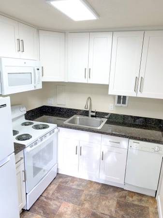 $1,650 / 1br - 560ft2 - ONE MONTH FREE! - 1 Bed, 1 Bath at Mercer Vista Apts (Seattle)63910064119299123