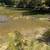 turkeys ducks chickens 9 thumbnail