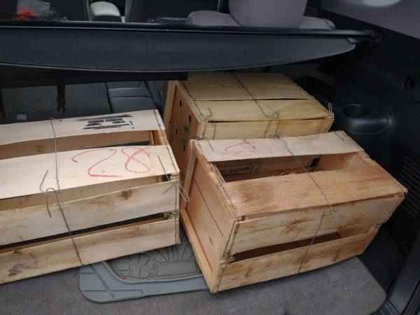 Corn crates 1