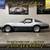 1981 Chevrolet Corvette Coupe FOR SALE. Trades Welcome! 5 thumbnail