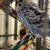 3 Parakeets and Large Cage & Supplies 5 thumbnail