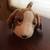 RARE TY Beanie Baby TRACKER Dog w/ Errors RETIRED 1 thumbnail
