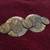 Coin 🪙 look broach loved by all who see it 1 thumbnail
