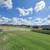 Single Family House for Rent /4 bed -2 bath // Full fence & appliance 6 thumbnail