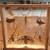 Double-Sided Bug Display Box (Bugs Included) 1 thumbnail