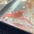 Crayfish 3 thumbnail