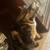 Bangle cat 3 thumbnail