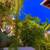 Beautiful House. Close to Antigua G. $740.0 10 thumbnail