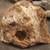 59-authenic native American artifacts 8 thumbnail