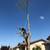 Tree service / Tree Trimming / Tree Removals (All Bay Area) 5 thumbnail