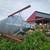 5 Ton Grain Bin 2 thumbnail