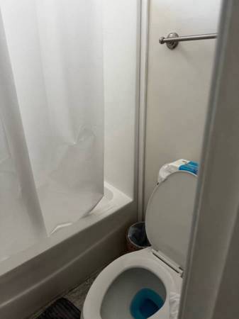 $900 / 3br - 1200ft2 - Room for rent in a newly manufacuted home (Clearwater)63991226012163124