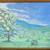 Eli Thomas Oil Painting Native American Artist Onondaga 1 thumbnail