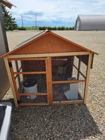 chicken coop 1