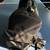 Large motorcycle touring backrest bag by SAC 3 thumbnail