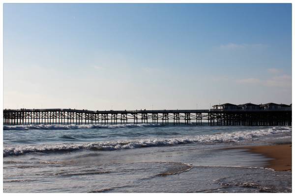 $1,898 / 330ft2 - UNIT @ CASS STREET COMING UP :-) (San Diego)64037043388802121