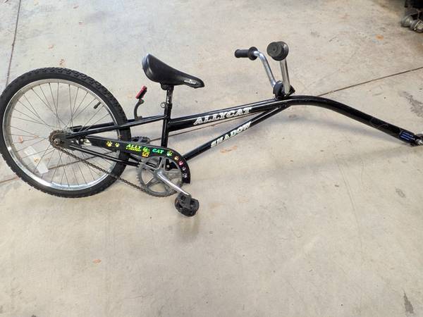 Tandem Tag Along Kids Bike 1