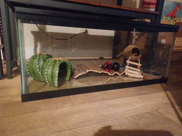 20 gallon long tank with hides 1