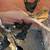 Chickens 7 thumbnail