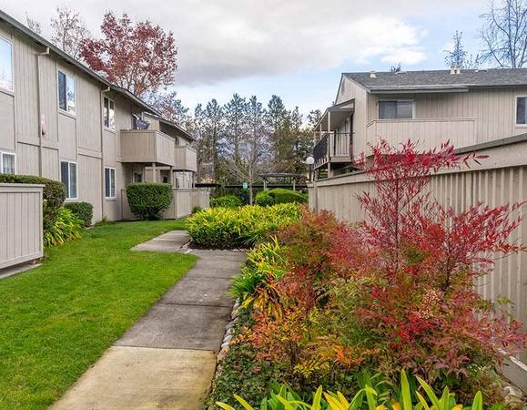 $2,125 / 2br - 840ft2 - Apartamentos amplios a 0.4 millas de Cotati Station (Tren Inteligente) (rohnert pk / cotati)63658029817347121