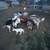 Goats mix 15 thumbnail