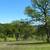 $10K Down, $560/mo 3.62 acres behind Electric gate 5 thumbnail