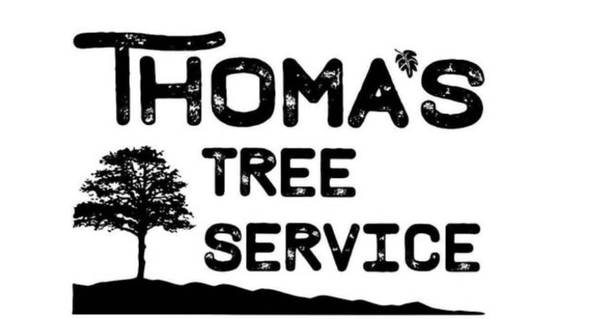 Tree Service Climber 1