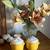 Vintage Ceramic Mikasa Yellow Sugar Jars (set of two) 1 thumbnail