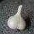Organic Hardneck Seed Garlic 2 thumbnail