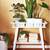 IKEA LANTLIV Plant Stand – White (Preowned, Distressed) / Water damage 3 thumbnail