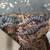 blue tongued skinks 2 thumbnail